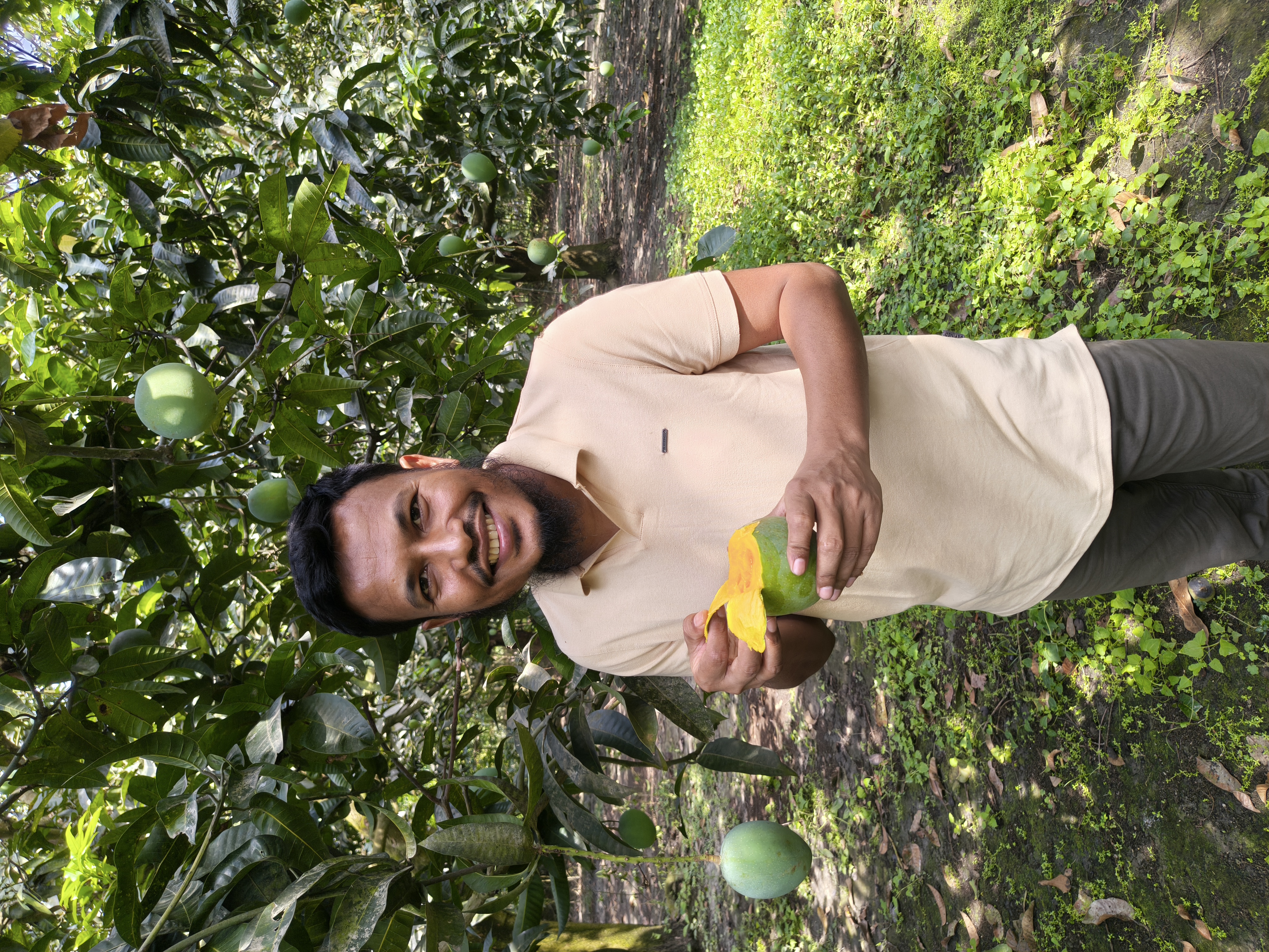 গোবিন্দভোগ আম