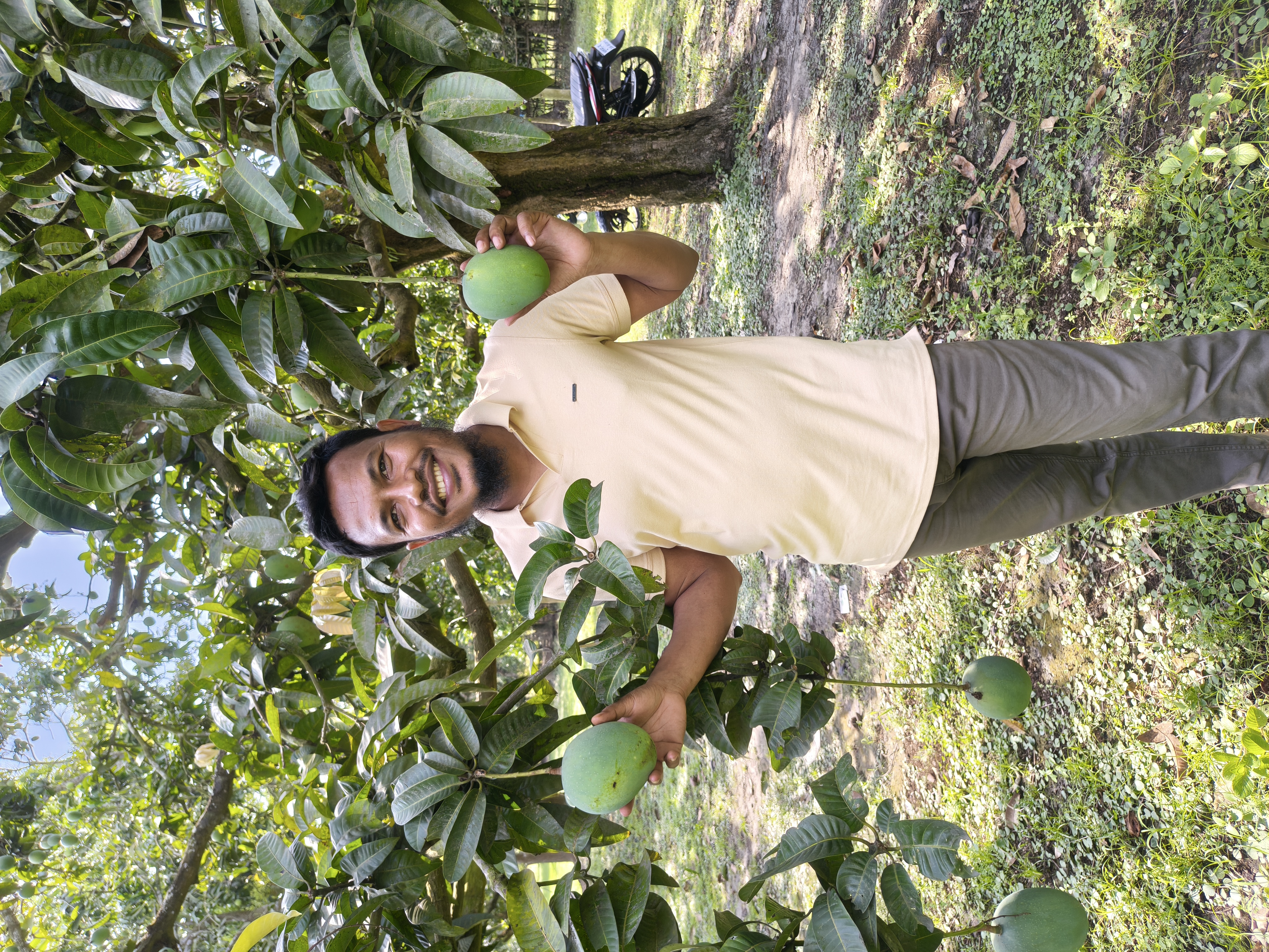 গোবিন্দভোগ আম