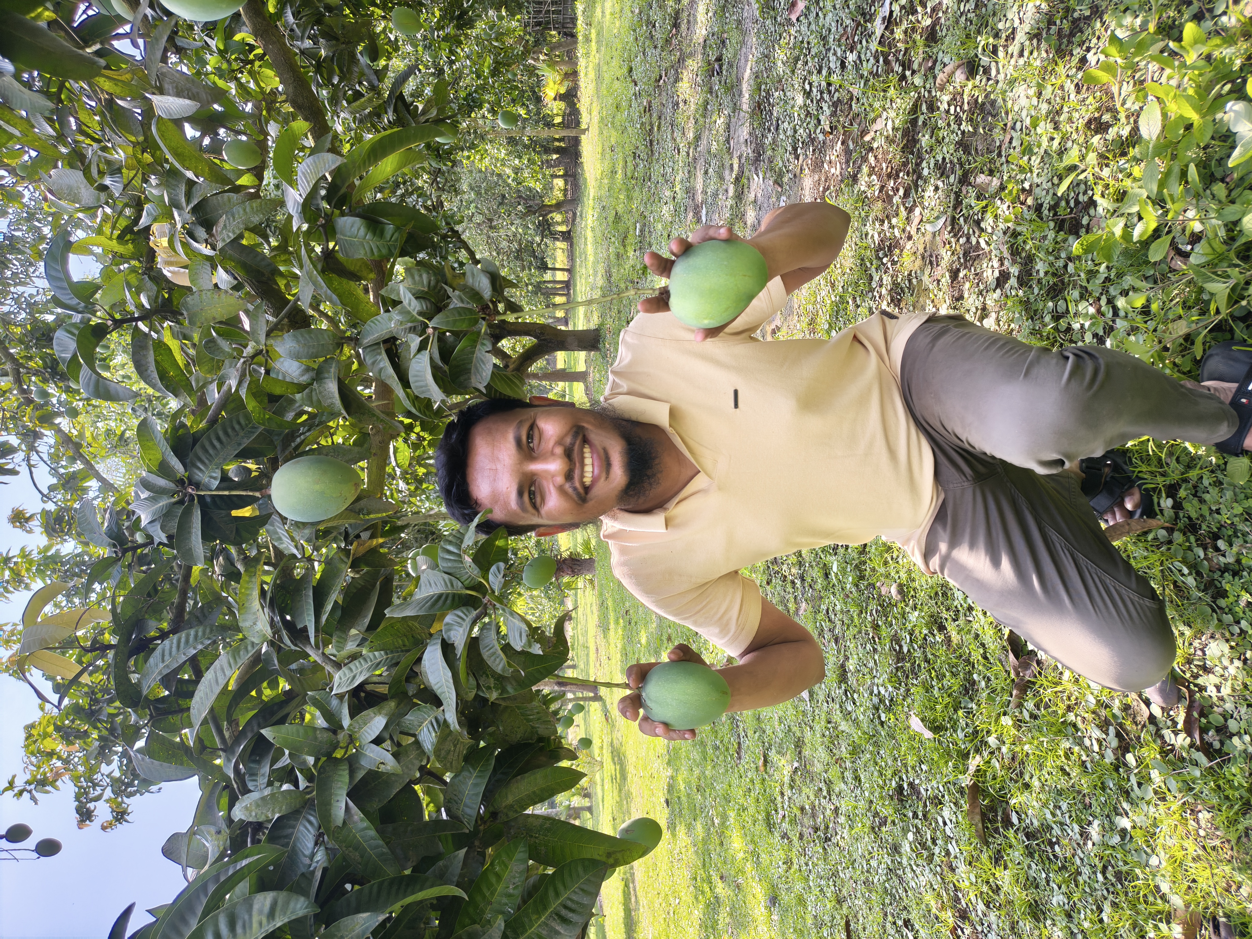 গোবিন্দভোগ আম