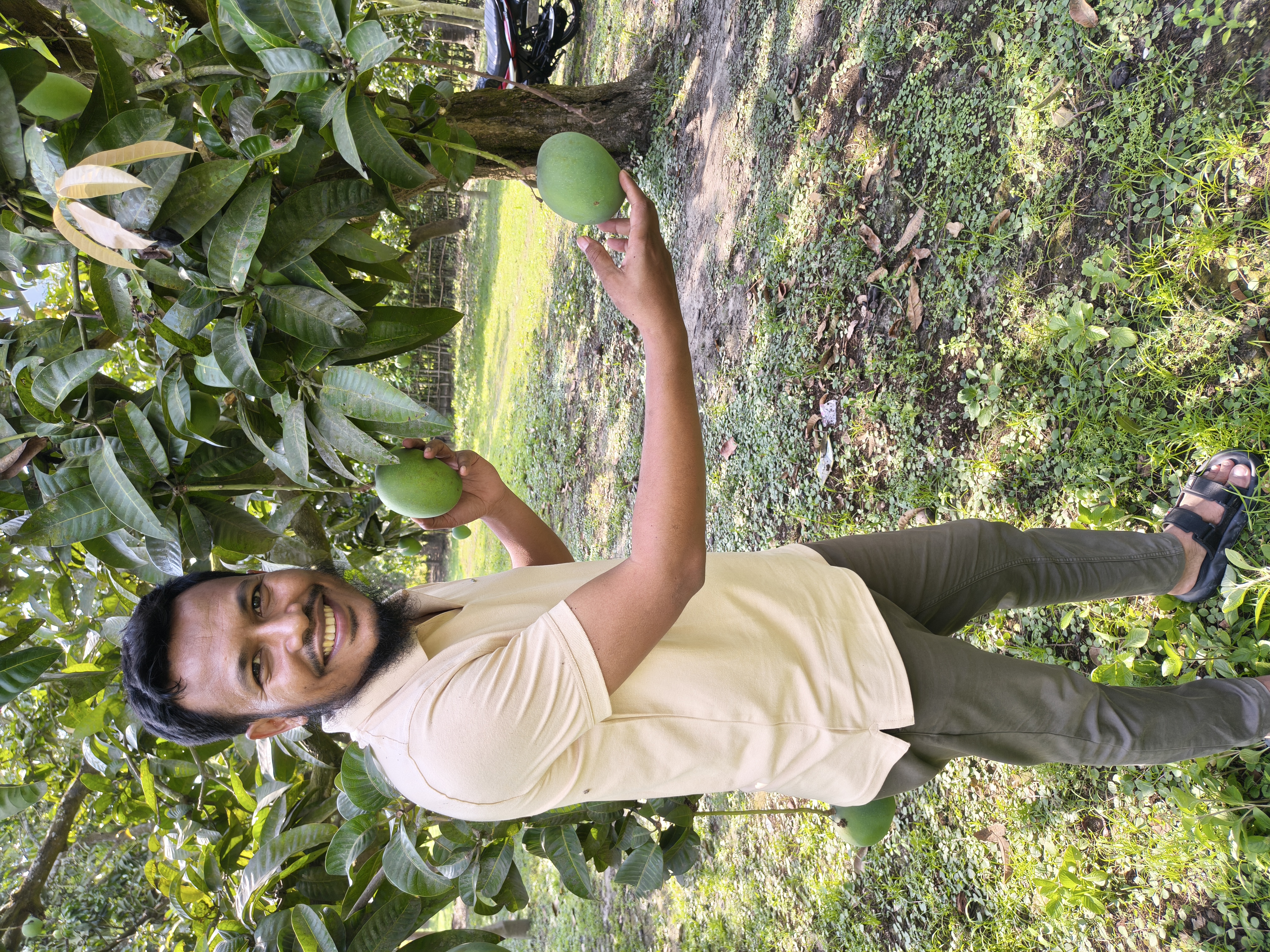 গোবিন্দভোগ আম
